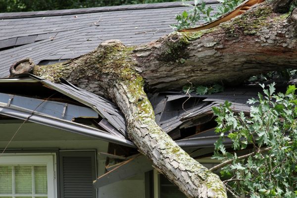 Storm Remediation in Utica