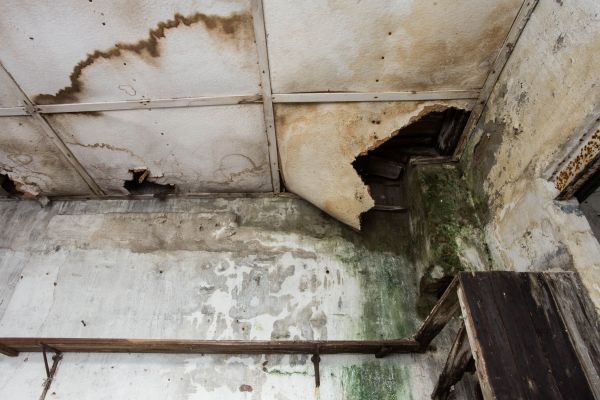 Water Damage Service in Utica