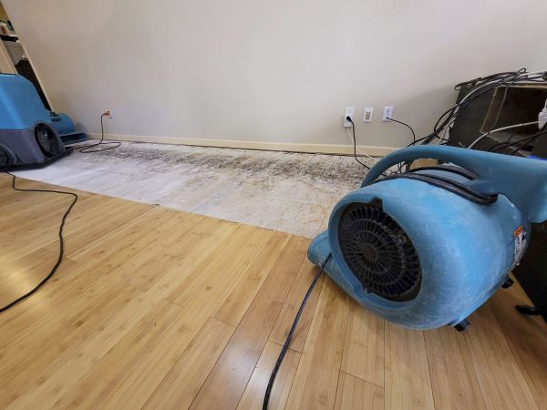 Water Damage Mitigation in Utica
