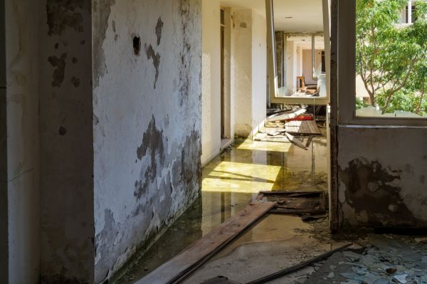 Water Removal Service in Utica