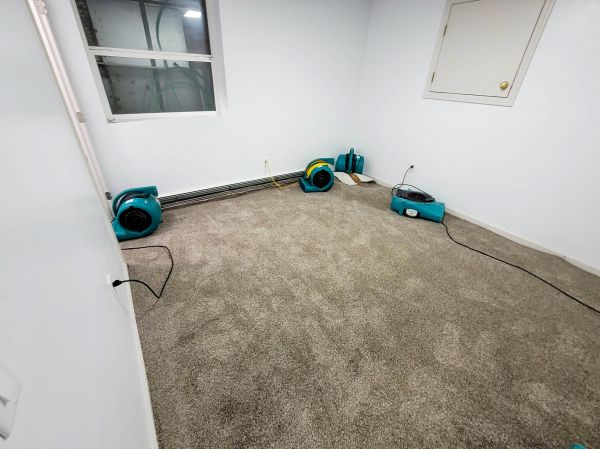 Flood Restoration Service in Utica