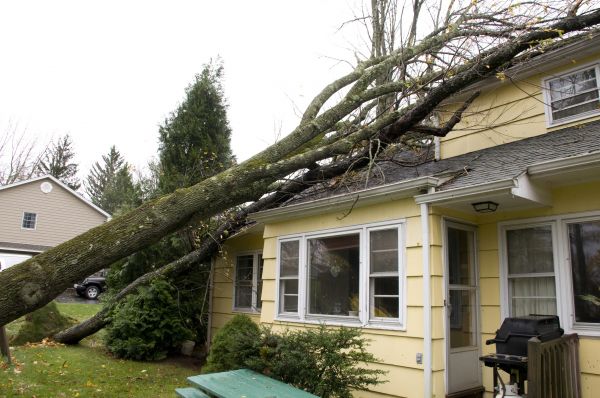Storm Damage Mitigation in Utica